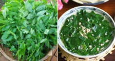 Rau ngót ngon - bổ - rẻ nhưng có 5 nhóm người không nên ăn