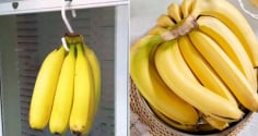 Sự khác biệt giữa chuối cong và chuối thẳng: Loại nào ngon hơn?