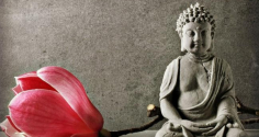 Phật dạy vay tiền không trả không hẳn là xấu, tại sao vậy?