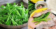 Tác hại của việc ăn rau muống sống