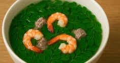 Chùm ngây, ‘thịt bò của người nghèo’ và những công dụng tuyệt vời cho sức khỏe