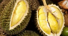 Người mắc 5 bệnh này tuyệt đối không nên ăn sầu riêng
