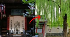 Người xưa dạy không sai: ' Trong sân tránh trồng 3 cây, trong nhà kiêng treo 3 vật', con cháu nhớ nghe theo