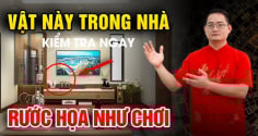 Thầy phong thủy chỉ rõ: Nhà càng nhiều 3 thứ này con cháu mất phúc, trẻ thì đau ốm, già cô đơn khánh kiệt