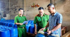 Mới Nhất: Khởi tố chủ cơ sở sản xuất 60 tấn giá đỗ ngậm hóa chất, người dân chú ý phân biệt giá đỗ