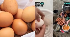 Thực hư thông tin trứng gà giả đang lan truyền trên mạng xã hội gần đây? Chuyên gia chính thức lên tiếng
