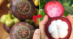 Mẹo chọn măng cụt tươi ngon, cùi dày, ngọt lịm, 10 quả như 10
