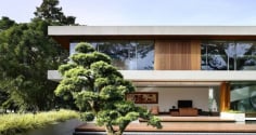 3 cây cảnh này, nhà giàu thường trồng để chiêu tài vượng lộc, gia đình sum vầy vui vẻ, hạnh phúc