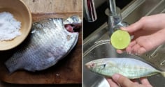 Ngâm cá trong loại nước này, vừa khử mùi tanh vừa giúp thịt chắc ngọt