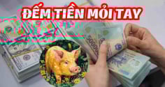 Chuột Rơi Hũ Nếp: Từ ngay mai 3 tuổi này cuộc đời lên hương, đếm tiền mỏi tay