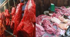 Vì sao con người chủ yếu ăn thịt động vật ăn cỏ thay vì động vật ăn thịt?
