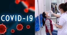 Bộ Y tế chỉ đạo Hỏa Tốc phòng chống dịch bệnh Covid-19, Sốt Xuất huyết