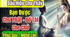 4 điểm trên người là Bồ Tát đánh dấu, mang phúc mang phần cho cả gia đình