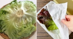 Bảo quản xà lách theo cách này, để cả tuần vẫn tươi rói, không bị úng
