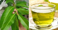 Uống nước vối thường xuyên có tốt không, giúp trị bệnh gì?