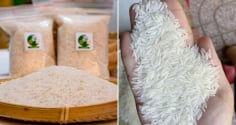 Mẹo nhận biết gạo ST25 chuẩn, nhìn đúng điểm này để không mua phải hàng giả