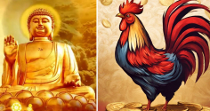 Phật Độ Người Hữu Duyên: 4 Tuổi Ung Dung Hưởng Phúc, Tiền - Tình Chẳng Phải Lo