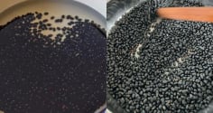 Vì sao nên ngâm và rang trước hạt khi nấu nước đậu đen? Bỏ qua bước này thì nước đậu có thể gây hại