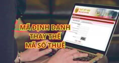 Chú ý bắt đầu từ 1/7/2025: Dùng Mã Số Định Danh thay cho Mã Số Thuế, người dân cần làm điều này