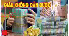 20 ngày liên tiếp: 3 tuổi Vơ Sạch Lộc Trời, Phúc - Lộc -Thọ tề tựu, cuộc sống lên hương giàu không cản được