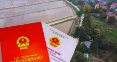 3 trường hợp làm sổ đỏ chỉ mất 100.000 đồng theo quy định mới nhất: Ai không biết chỉ thiệt