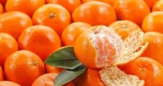 4 loại trái cây được chuyên gia khuyên dùng để hỗ trợ làm sạch phổi, chữa ho và cải thiện hô hấp