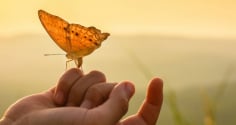 Cổ nhân dạy: 2 việc không nên đợi và 2 thứ không nên sợ hãi trong đời ai cũng cần biết