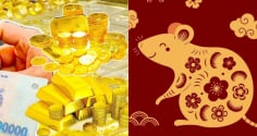 4 con giáp vận khí bứt phá 15 ngày cuối tháng 6: Giàu nhanh hơn giá vàng tăng phi mã, no nê tiền tài