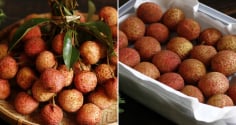 Vải thiều mua về bảo quản theo cách này, để cả tháng vẫn tươi ngon