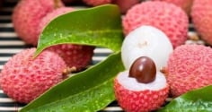 Bí quyết bảo quản vải thiều lâu ngày vẫn tươi mọng, không bị thâm vỏ