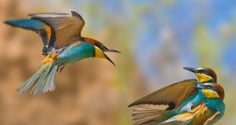 Người sinh vào 3 tháng Âm lịch này, tuổi trẻ gian nan, nhưng trung niên tài lộc ào ào đổ về