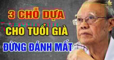 Về già chỗ dựa không phải con cái hay bạn đời: 3 điều này mới thực sự là chỗ dựa lớn nhất