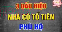 3 dấu hiệu chứng tỏ Tổ Tiên Độ: Gia chủ sắp Trúng Số đổi đời:, chỉ cần có 1 thôi cũng đáng chúc mừng