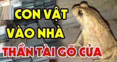 4 con vật Đệ Tử Thần Tài, vào nhà nào nhà đấy Tiền Tài nảy số