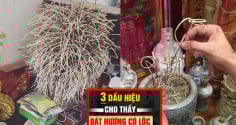 Dấu hiệu bát hương tụ lộc, con cháu có của ăn của để