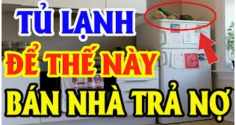 Cứ tiện tay đặt 3 thứ này trên nóc tủ lạnh bảo sao gia chủ làm quần quật cả năm vẫn nghèo