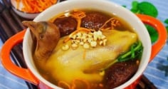 Vì sao thịt chim bồ câu được ví quý hơn 9 con gà? Lợi ích & lưu ý khi dùng