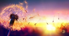 Người xưa dạy: Tha thứ không phải vì người mà vì chính bản thân mình, vì sao?