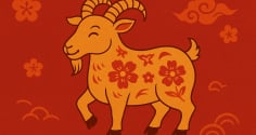 Top 4 con giáp được phúc tinh chiếu mệnh: Số giàu sang, tài lộc không cầu mà tới
