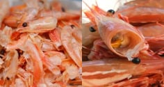Việt Nam lãng phí “mỏ vàng” từ vỏ tôm: Giá trị gấp 25 lần tôm, cơ hội tỷ đô ai nắm sẽ giàu
