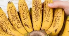 Chuối chuyển sang màu đen sau 2 ngày? Chủ sạp trái cây dạy tôi mẹo giữ tươi cả tháng mà không bị thâm đen'