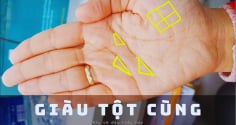 Phụ nữ có bàn tay như vậy đặc biệt dễ giàu có! Xem tay bạn có không?
