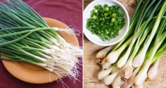 Hành lá là gia vị không thể thiếu trong nhiều món nhưng có 4 nhóm người không nên ăn