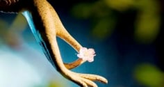 Nếu thay đổi 2 thói nghĩ này, vận số sẽ lập tức hanh thông, gặp được thiện duyên, tài lộc dồi dào