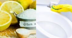 Mẹo đơn giản đánh bay cặn vôi vết ố vàng bồn cầu: Chỉ cần dùng một chất tẩy tự nhiên mỗi tuần một lần