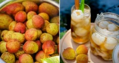 Mẹo làm vải ngâm để pha trà ngon hơn ngoài hàng, để lâu vẫn thơm, không cần chất bảo quản