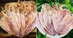 Mua mực khổ phải nhìn đúng điểm này, chọn được hàng chuẩn, ngọt thịt, không sợ mua phải hàng giả