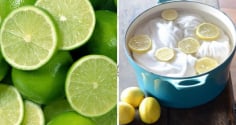 Cắt đôi quả chanh rồi đặt khắp nhà: Chúng có 6 công dụng tuyệt vời ai cũng thích