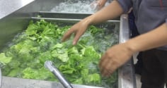 Rửa rau đừng ngâm nước muối, muốn rau sạch, hết thuốc cứ thêm 1 bước này
