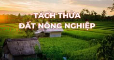 Kể từ bây giờ: Người dân muốn tách thửa đất nông nghiệp cần lưu ý điều này
